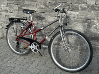 Villiger Bedretto