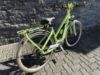 Centurion E-Fire Sport R850